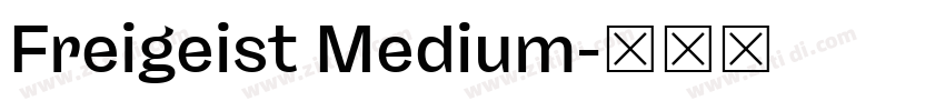 Freigeist Medium字体转换 Freigeist Medium字体转换